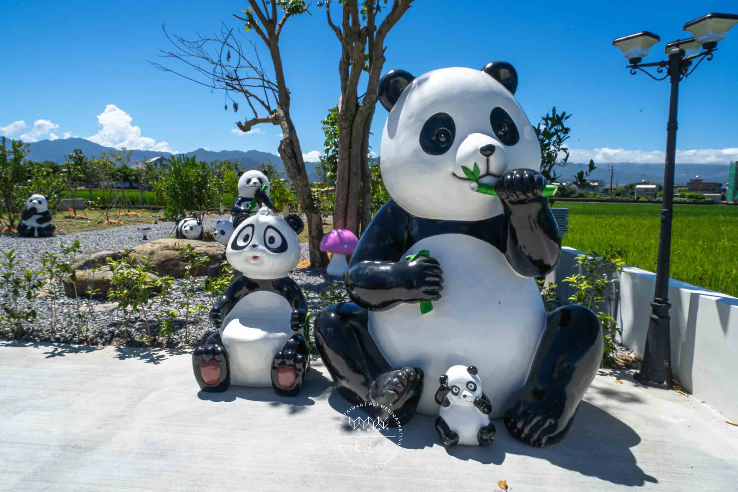 八一會館的民宿照片