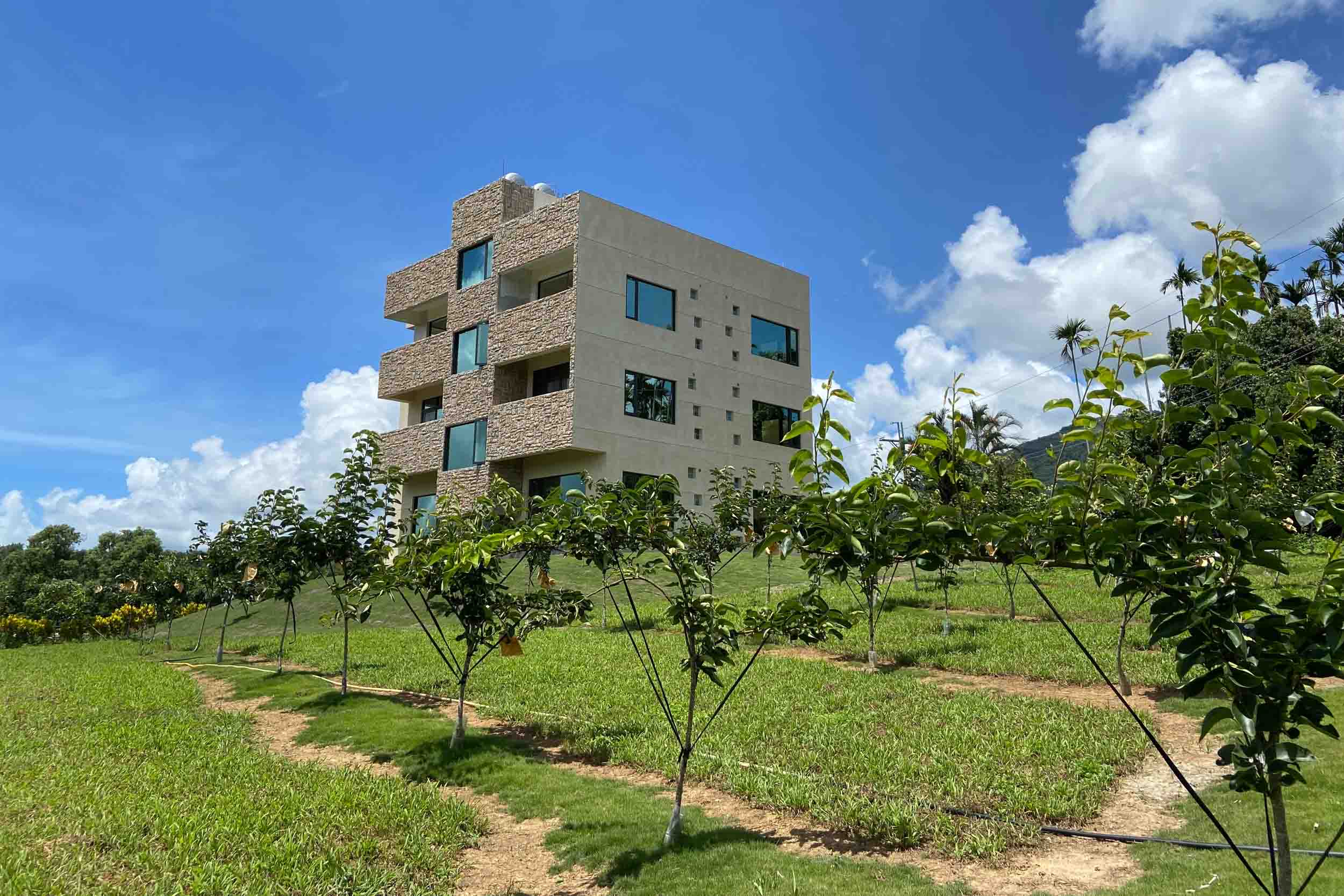 五色鳥民宿的民宿照片