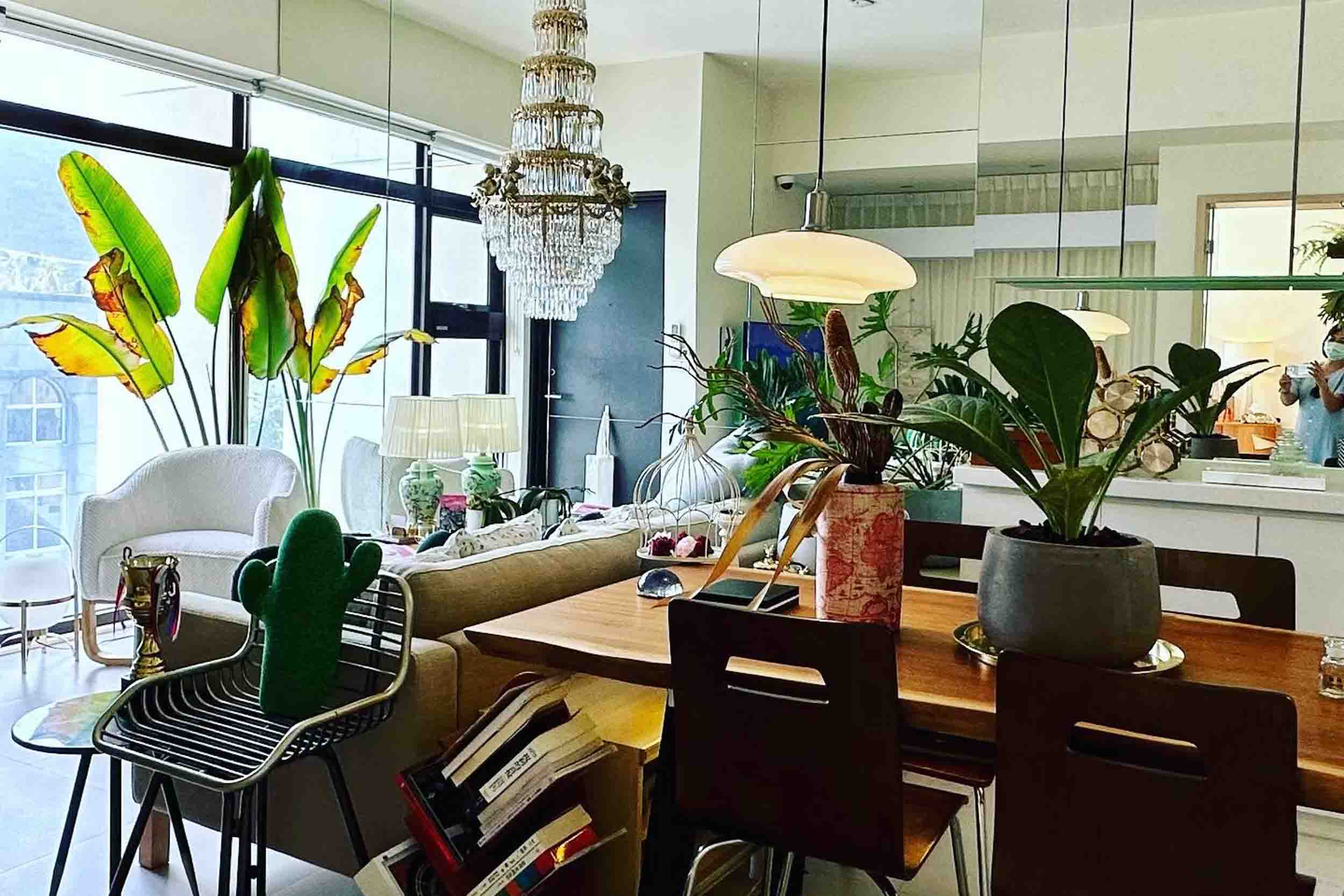 心適都蘭的照片