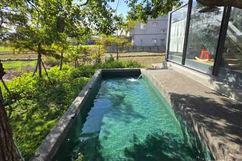 斑馬閑閑的民宿照片