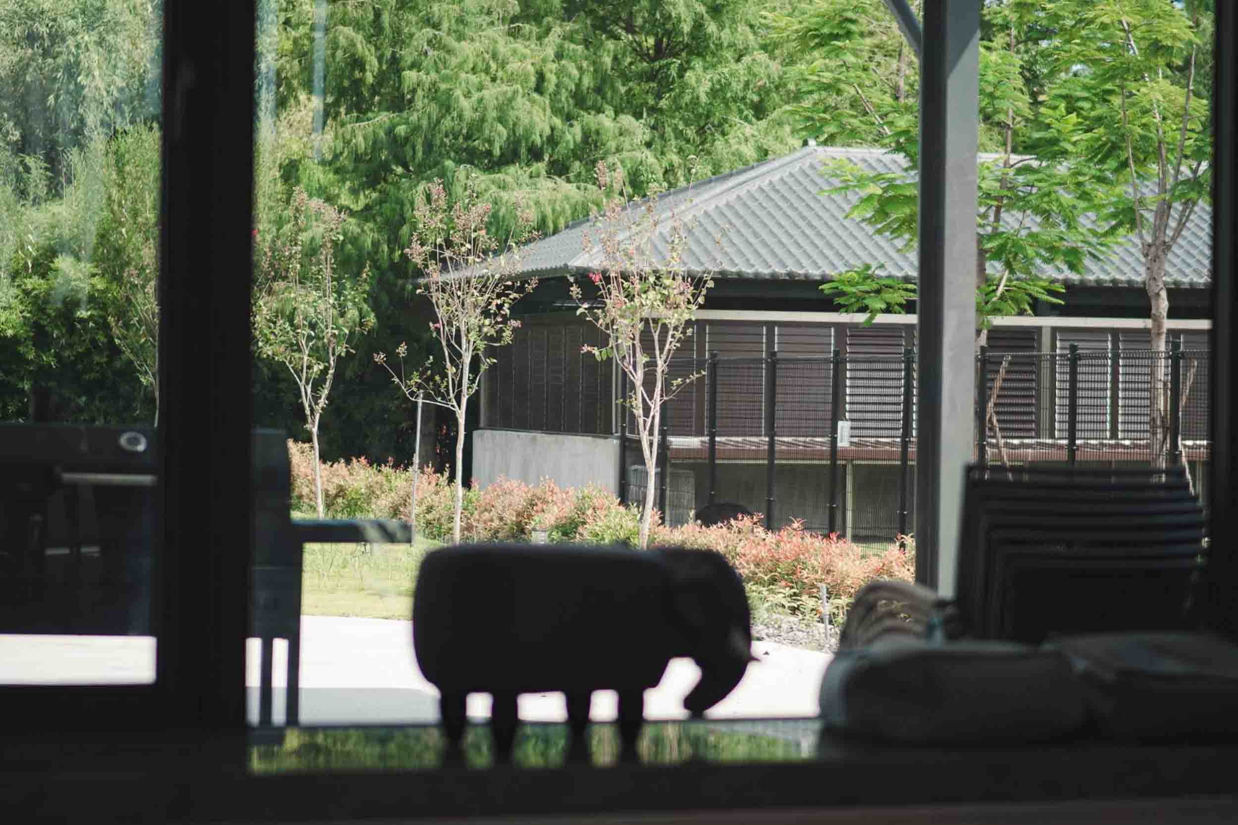 怡田園的民宿照片