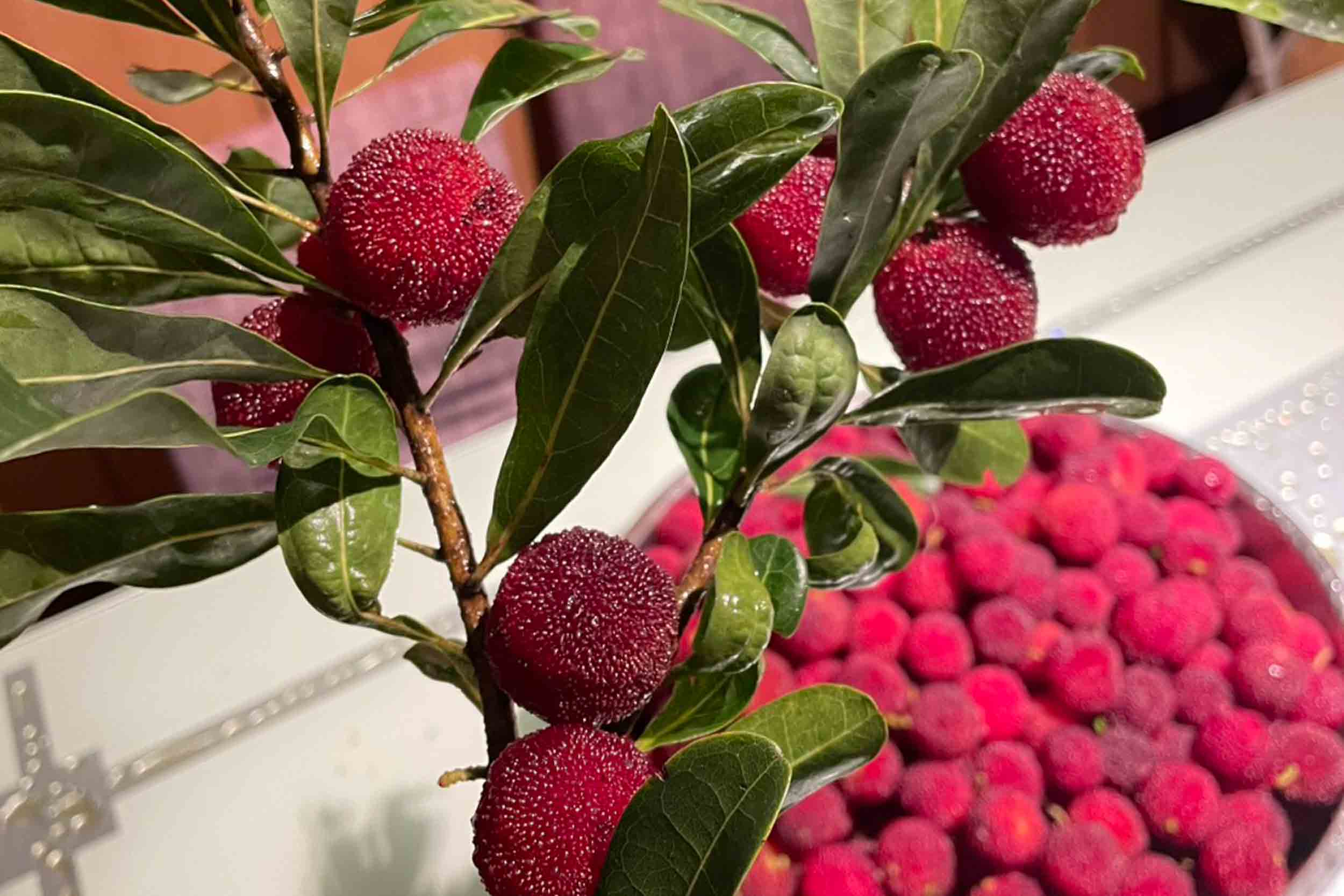 德國鄉村莊園咖啡甜點民宿的民宿照片