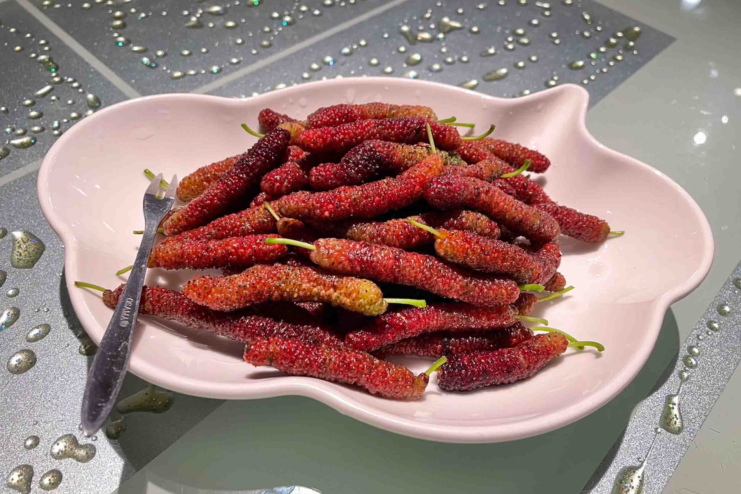 德國鄉村莊園咖啡甜點民宿的民宿照片