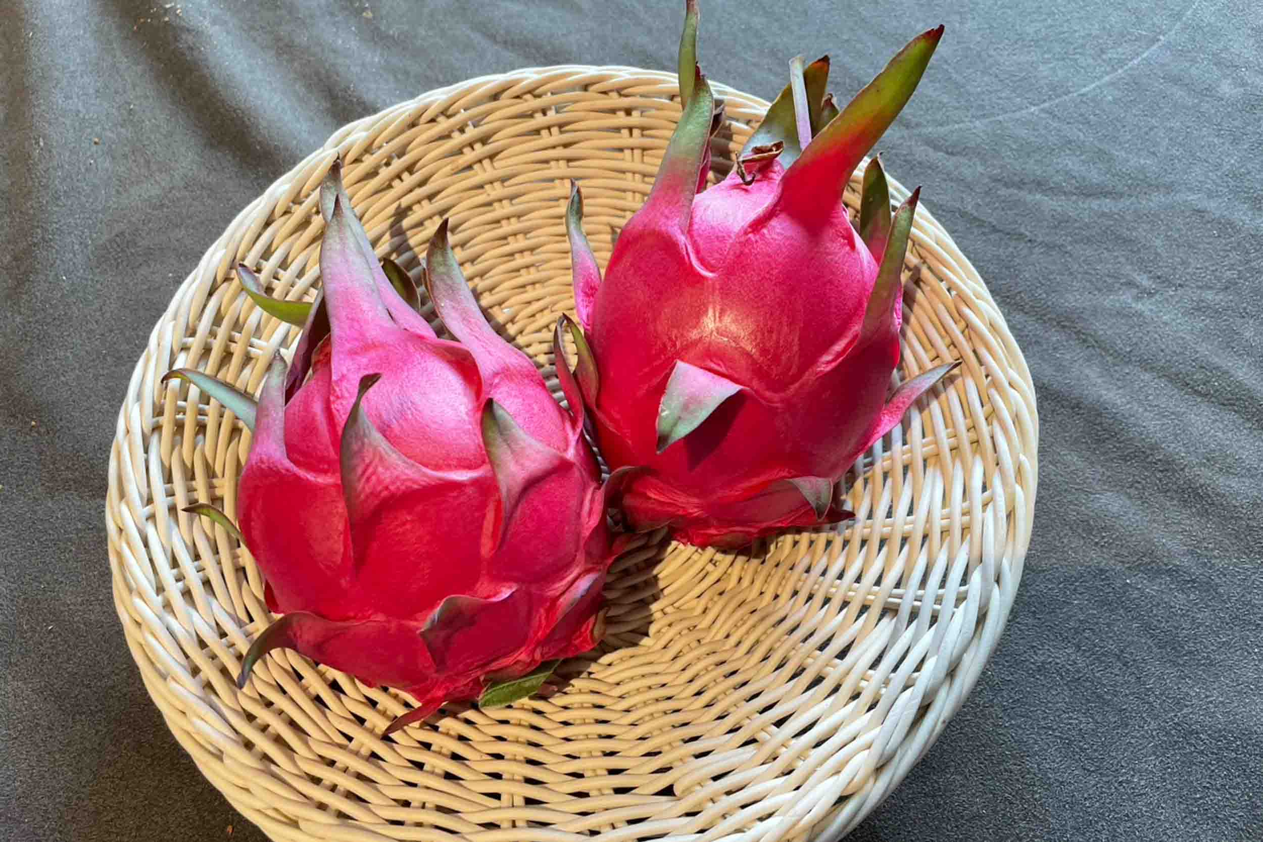 德國鄉村莊園咖啡甜點民宿的民宿照片