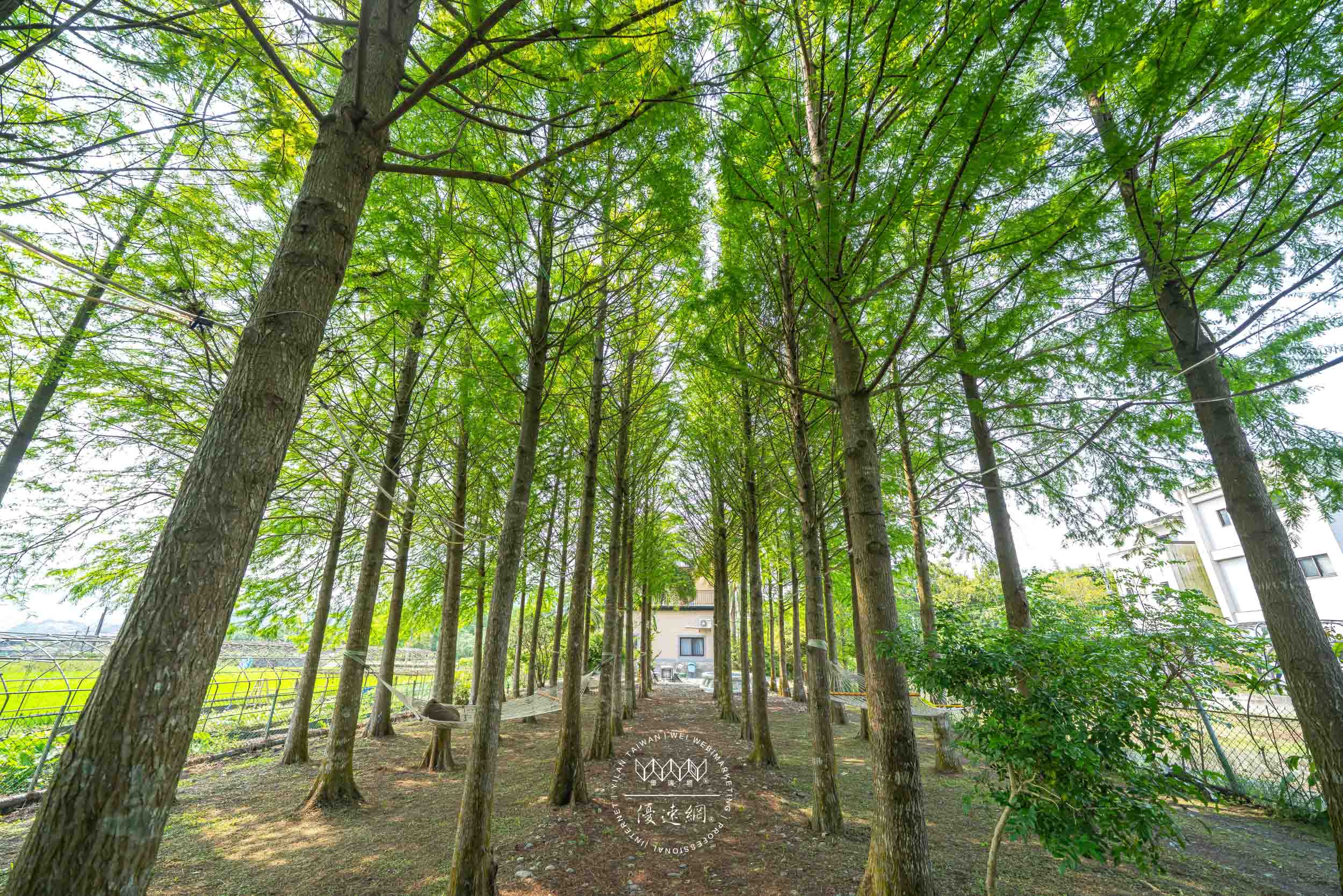 結識民宿的民宿照片