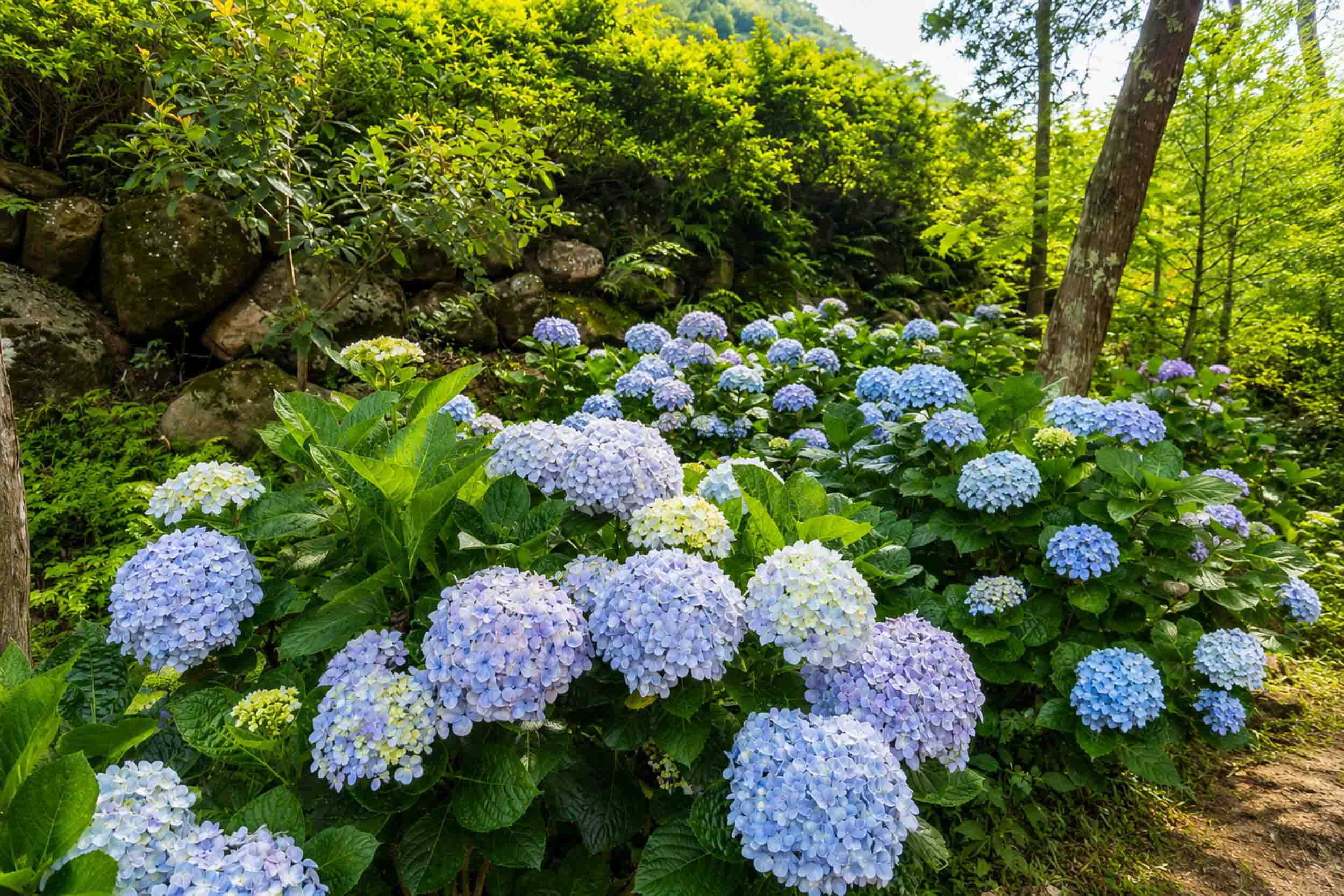 金元寶山莊的民宿照片