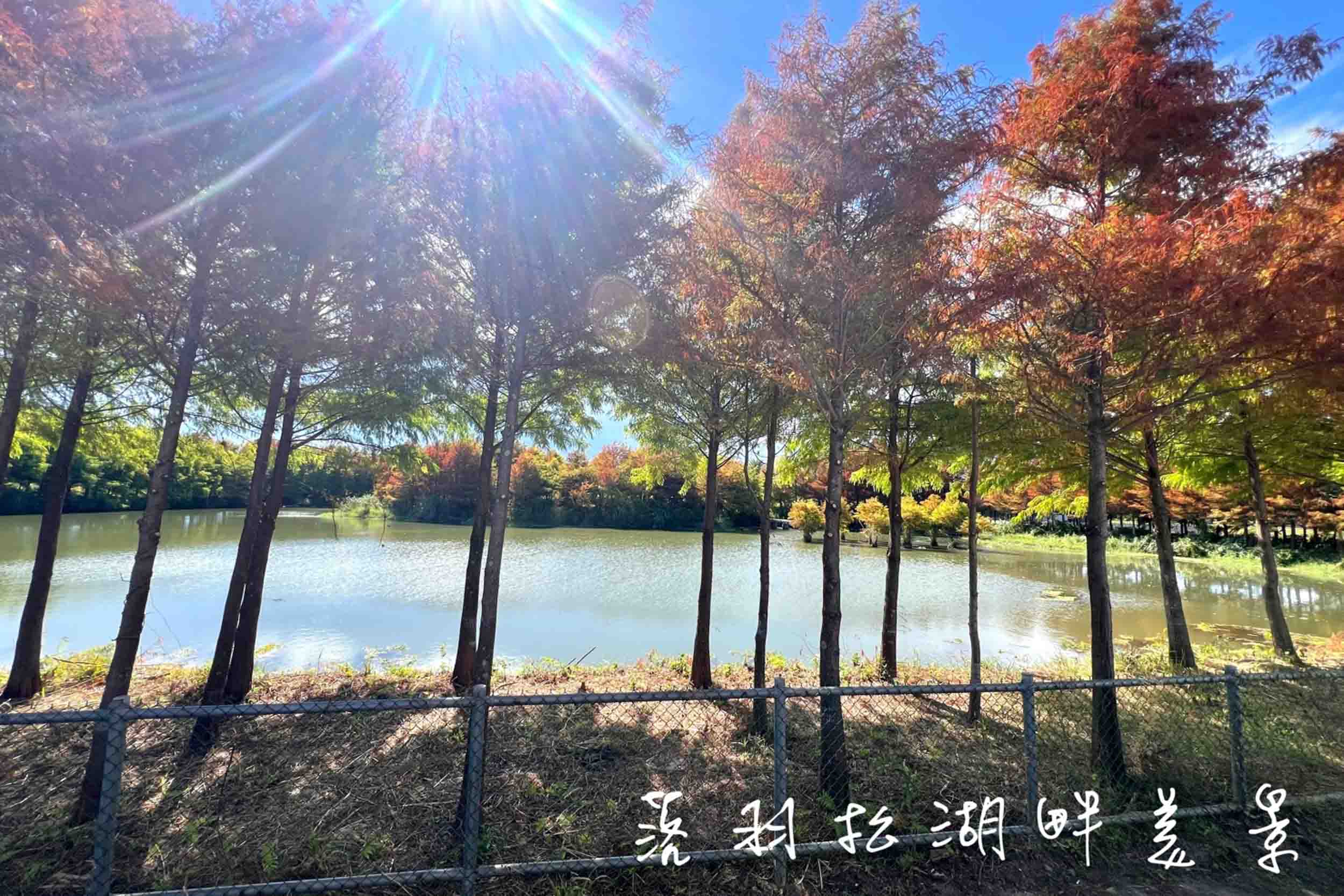夢幻城堡的民宿照片