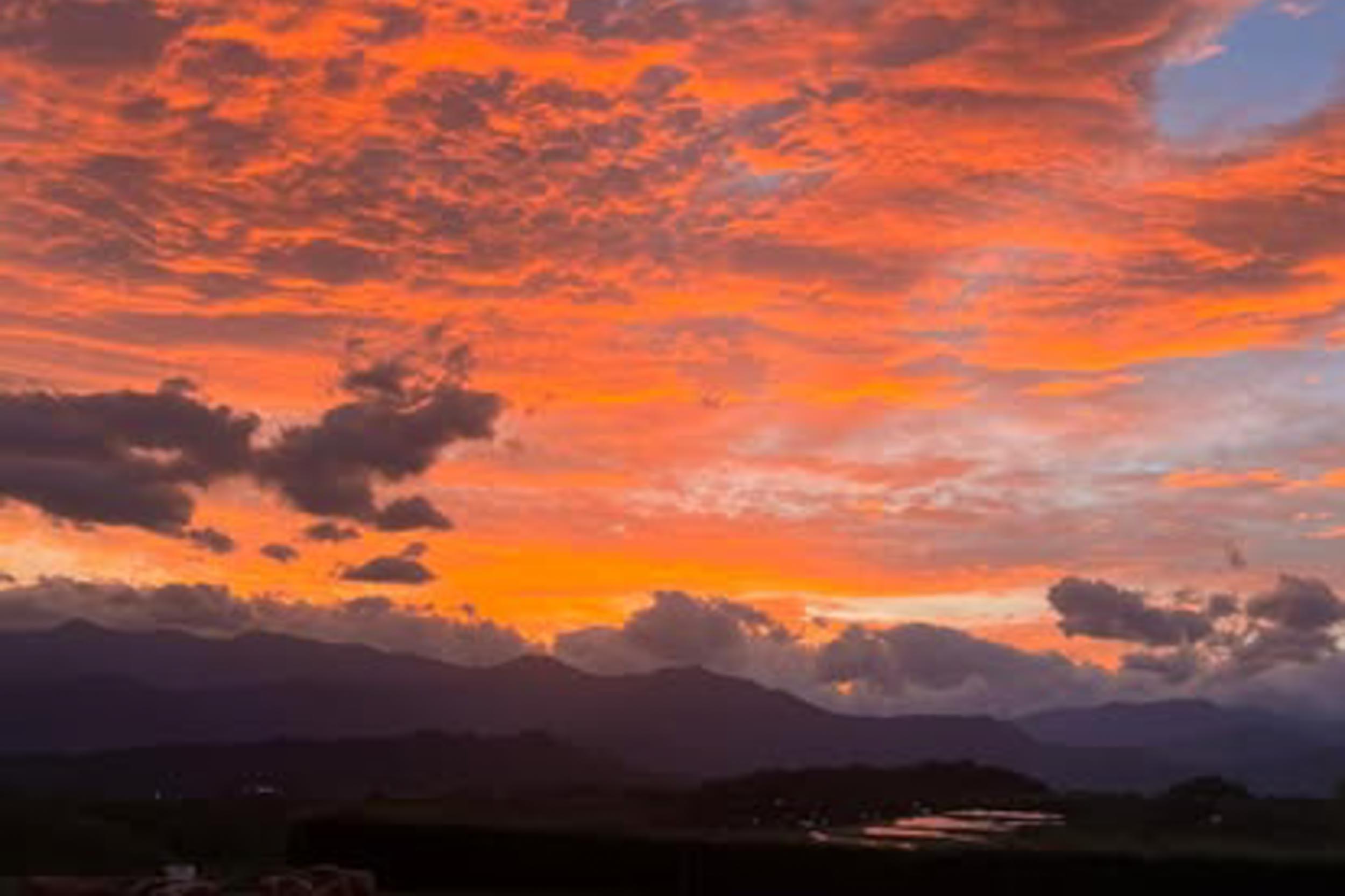 龍行天下景觀民宿的民宿照片