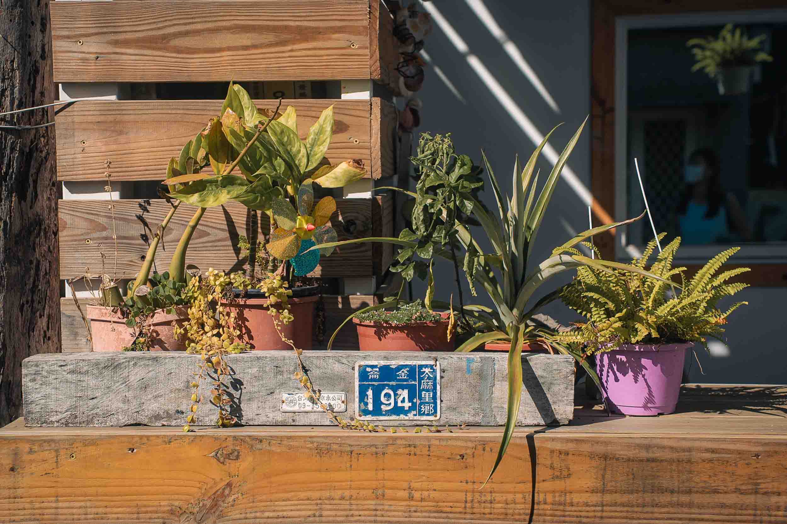 被風吹的人背包客民宿的民宿照片