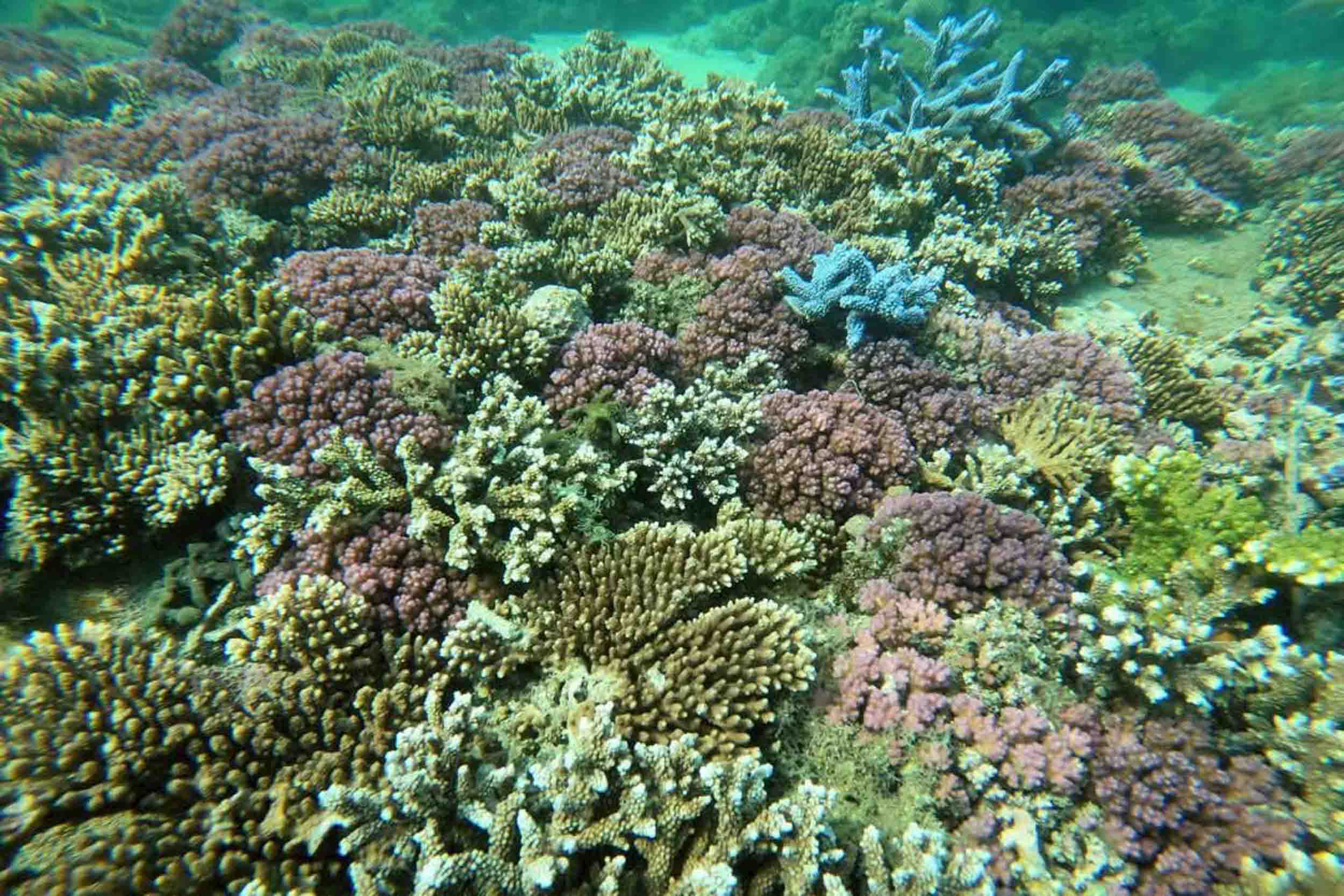 棉寶民宿的民宿照片