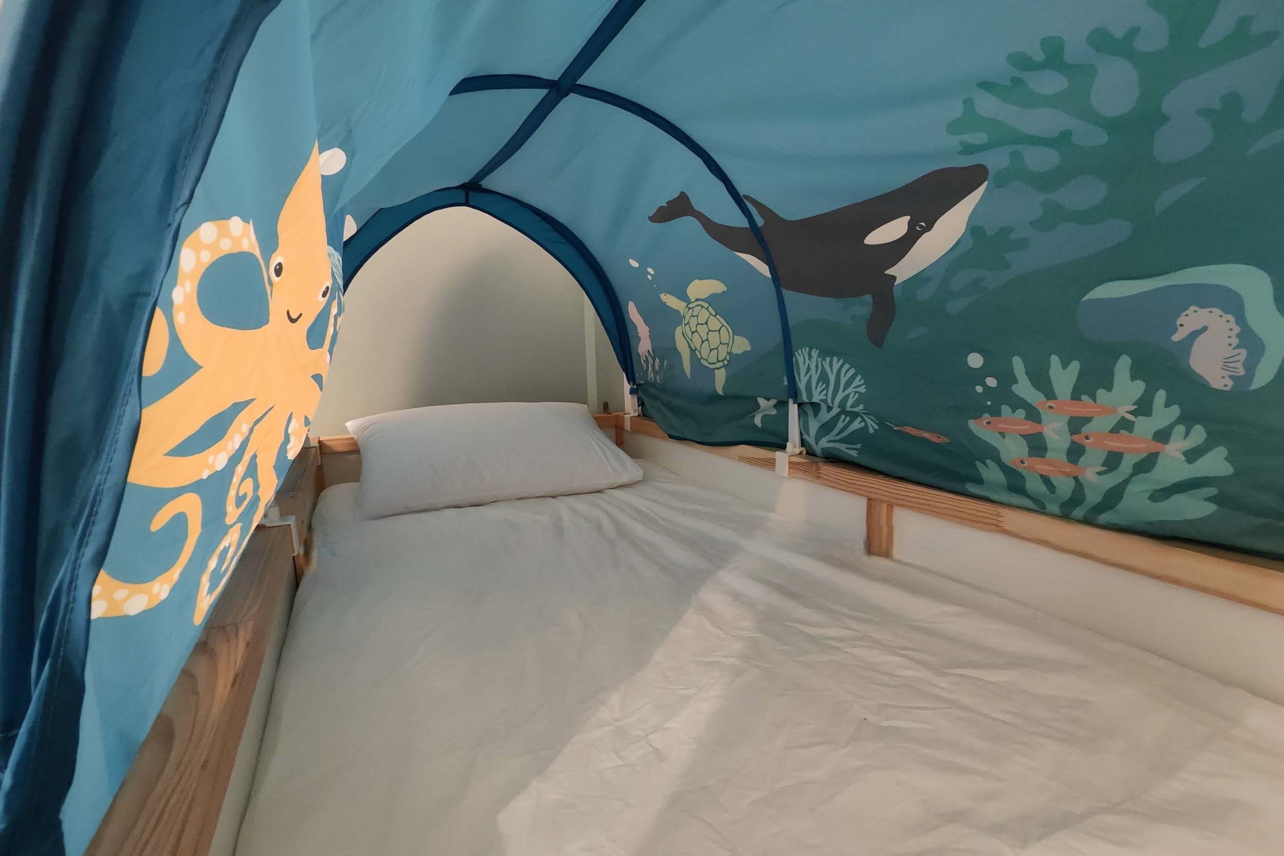 南平山民宿的民宿照片