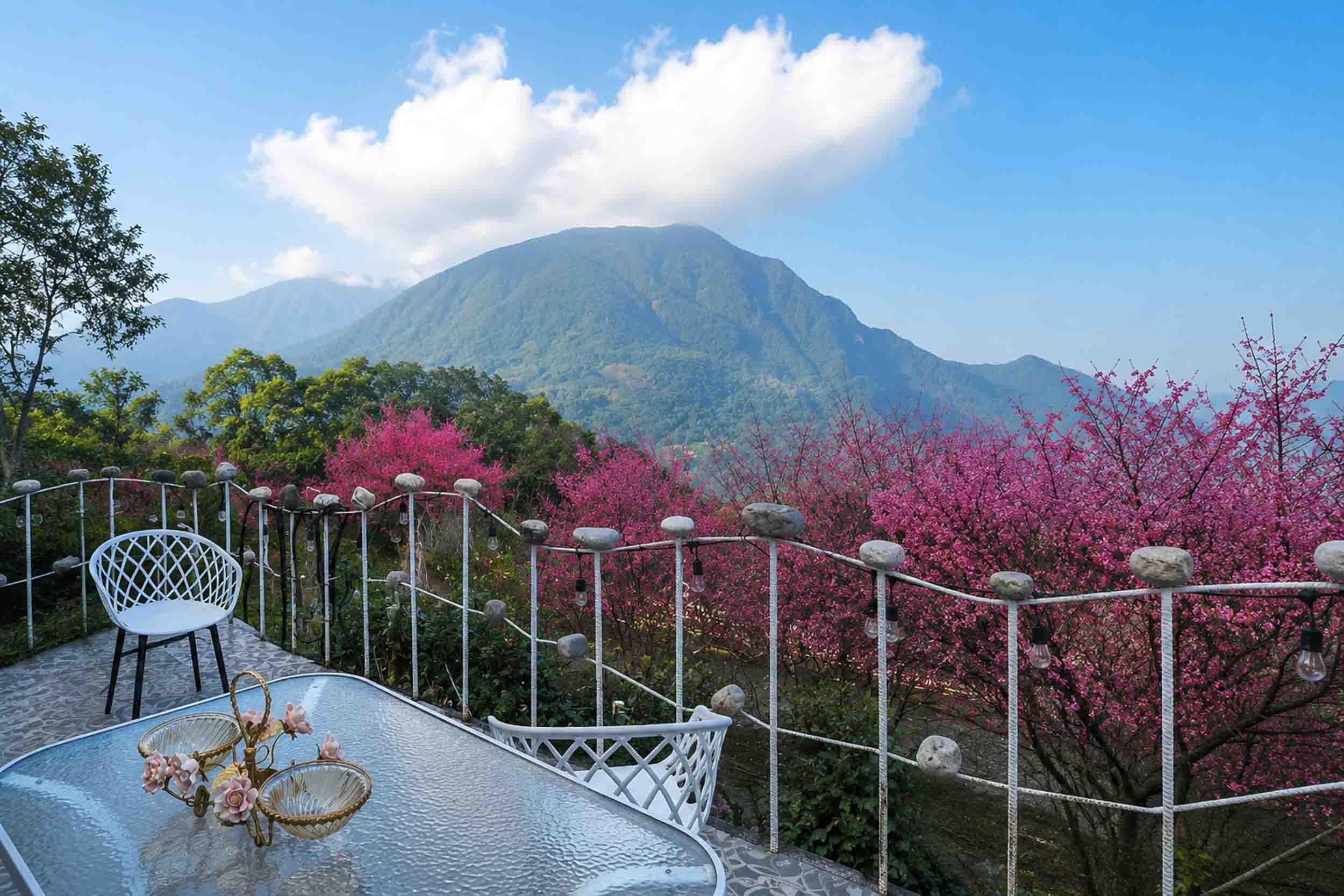 九虹新月景觀山莊的民宿照片