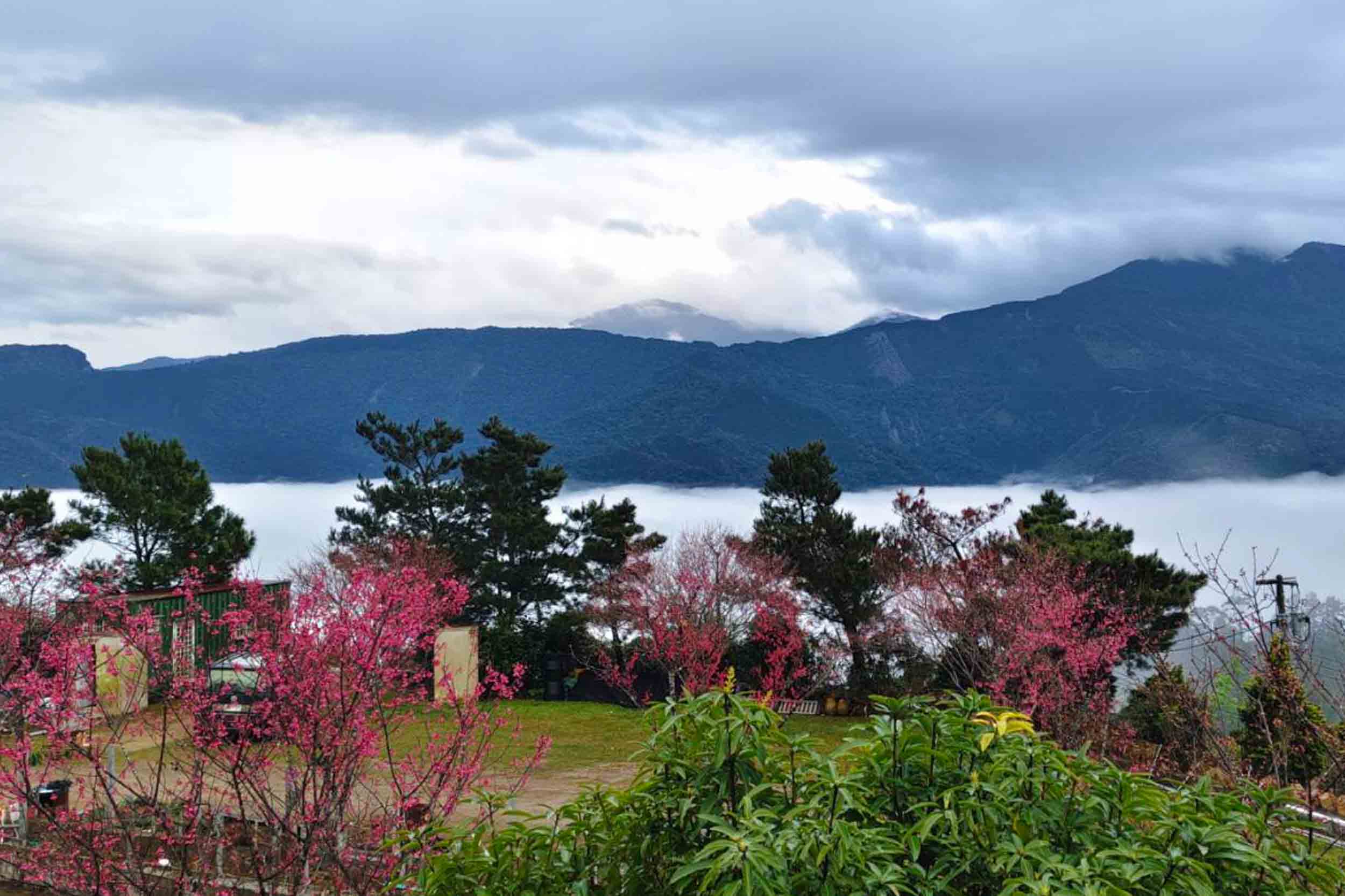 千韻茶山莊的民宿照片