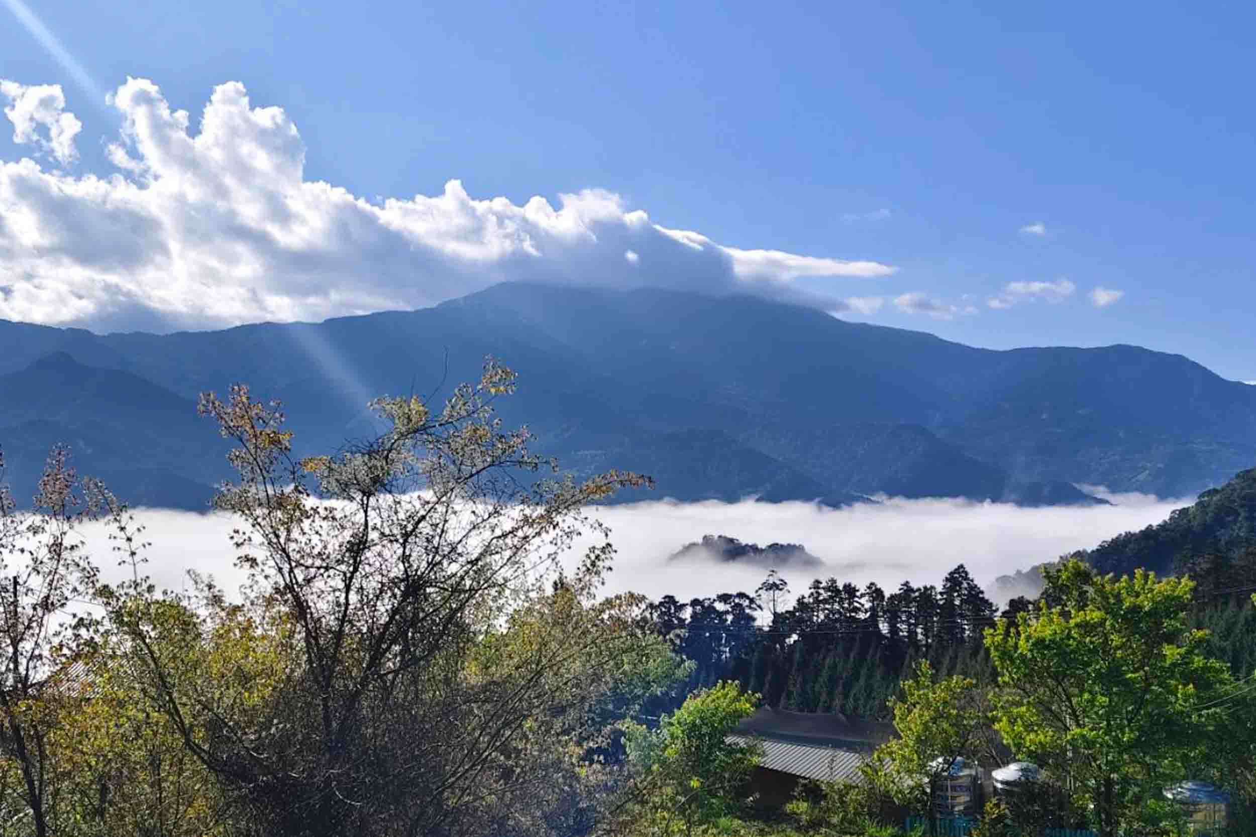 千韻茶山莊的照片