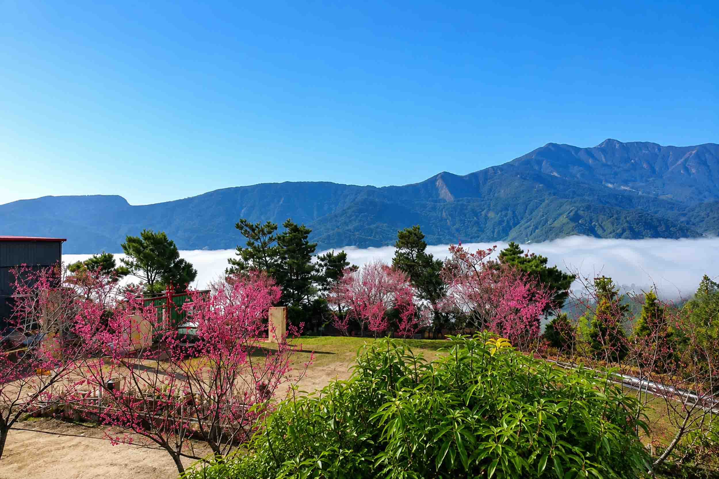 千韻茶山莊的照片