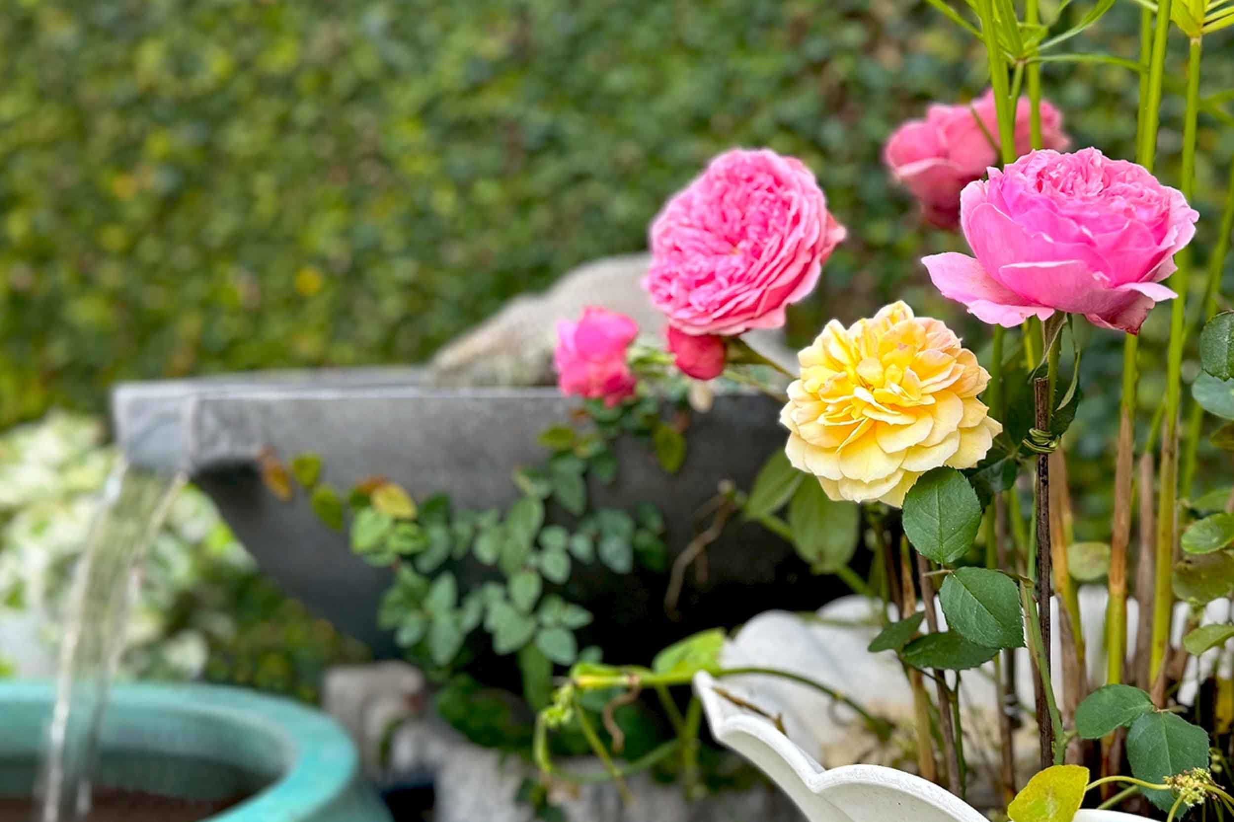 朗香洋房 台南安平民宿的民宿照片