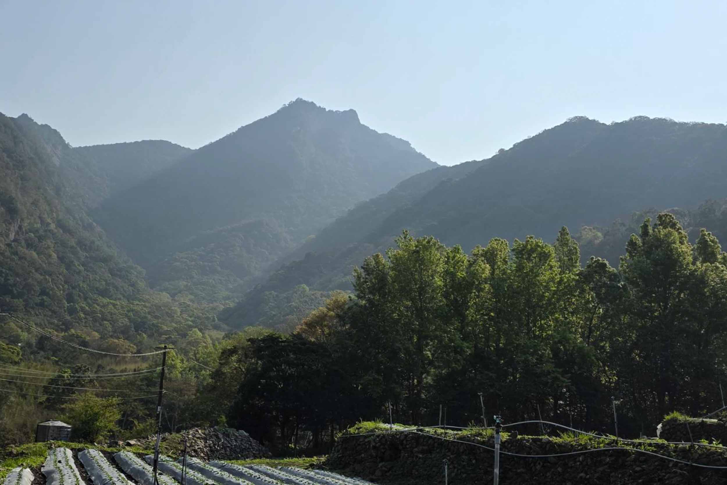 如家小憩民宿的民宿照片