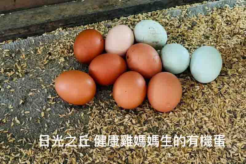 日光之丘的民宿照片