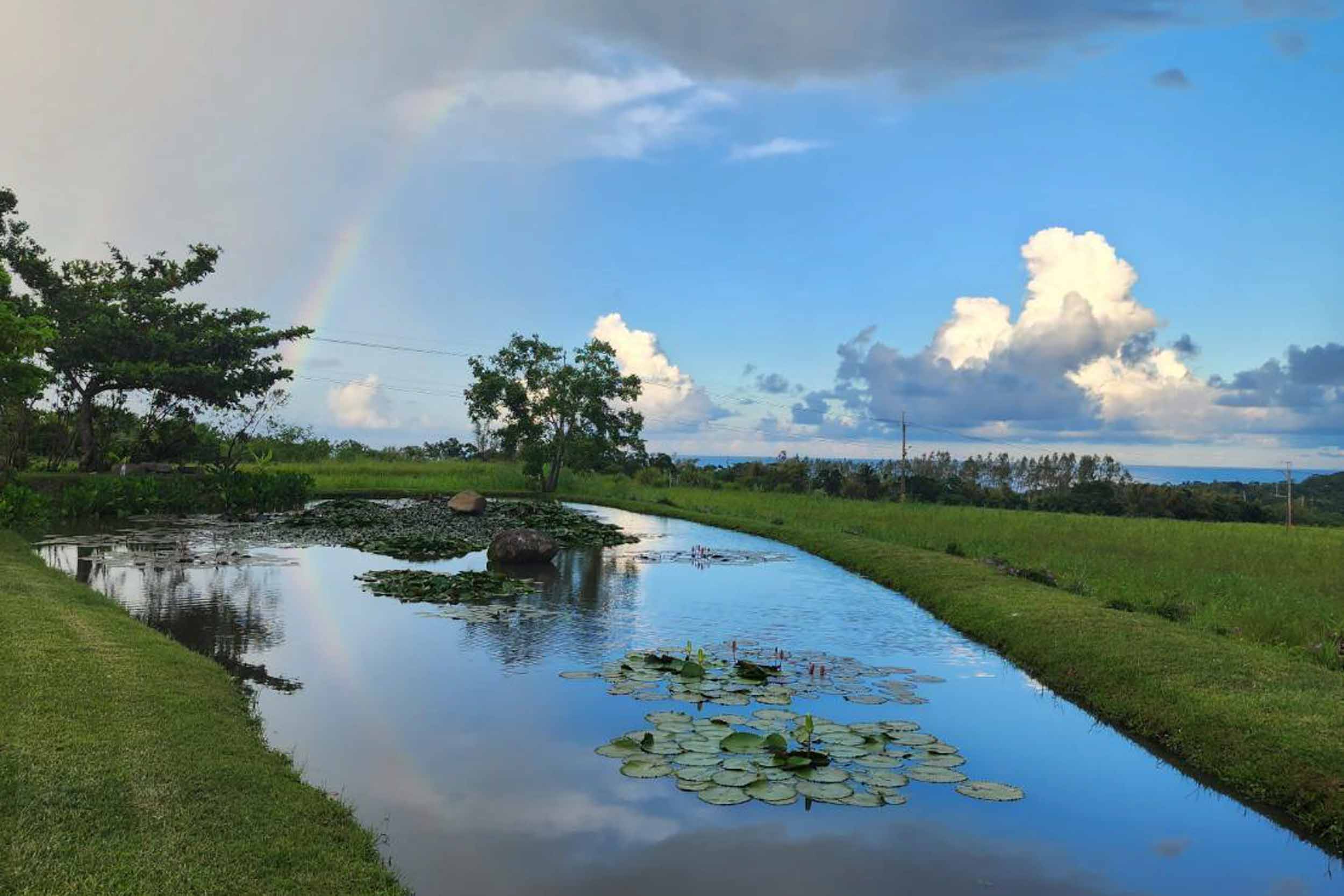 聽風說故事民宿的民宿照片