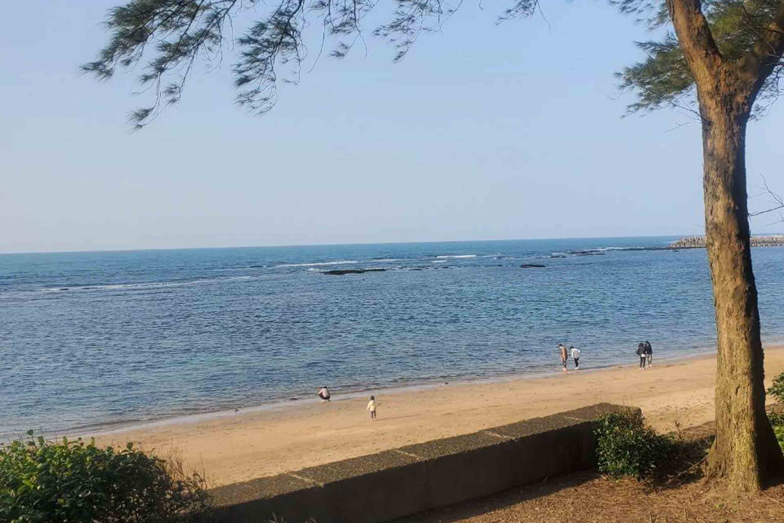 旅途中海邊民宿的民宿照片