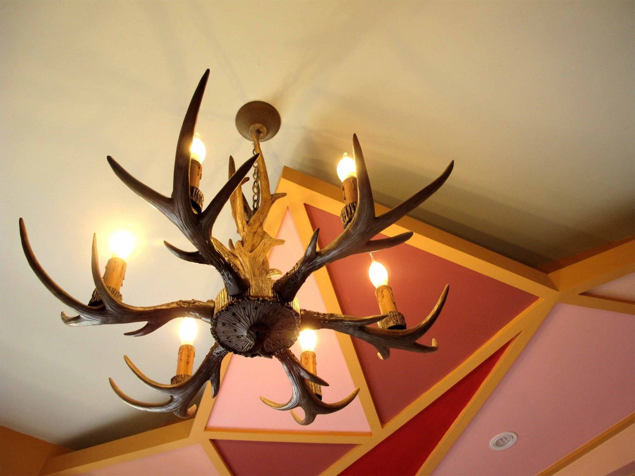 精彩奇寓民宿的民宿照片