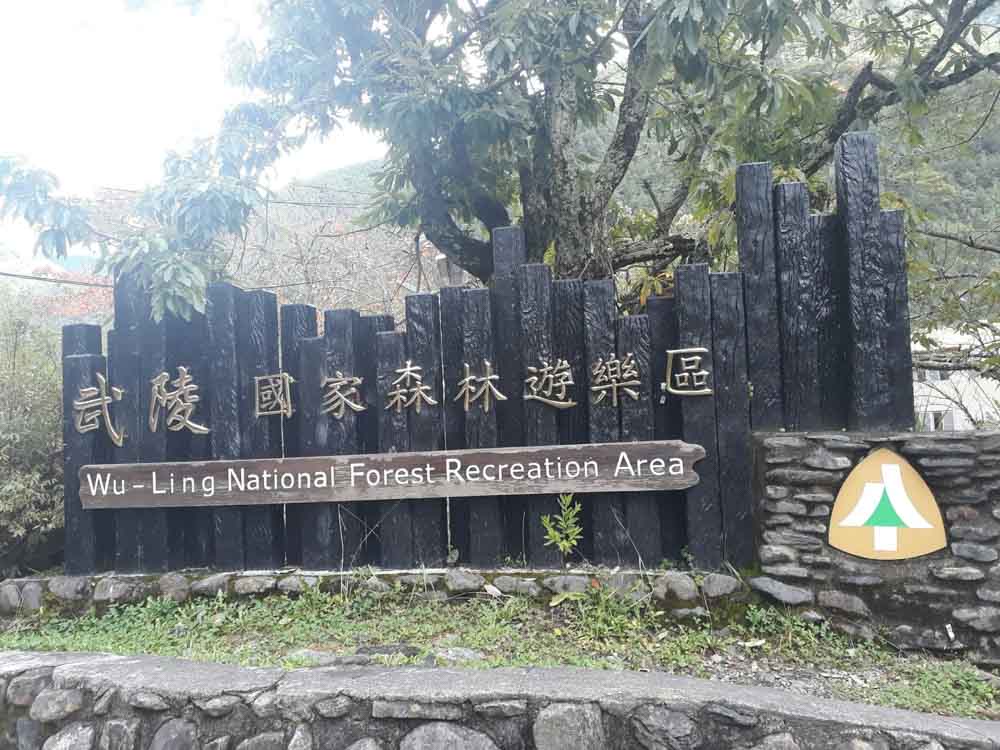 精悅溜滑梯超大浴池民宿的民宿照片