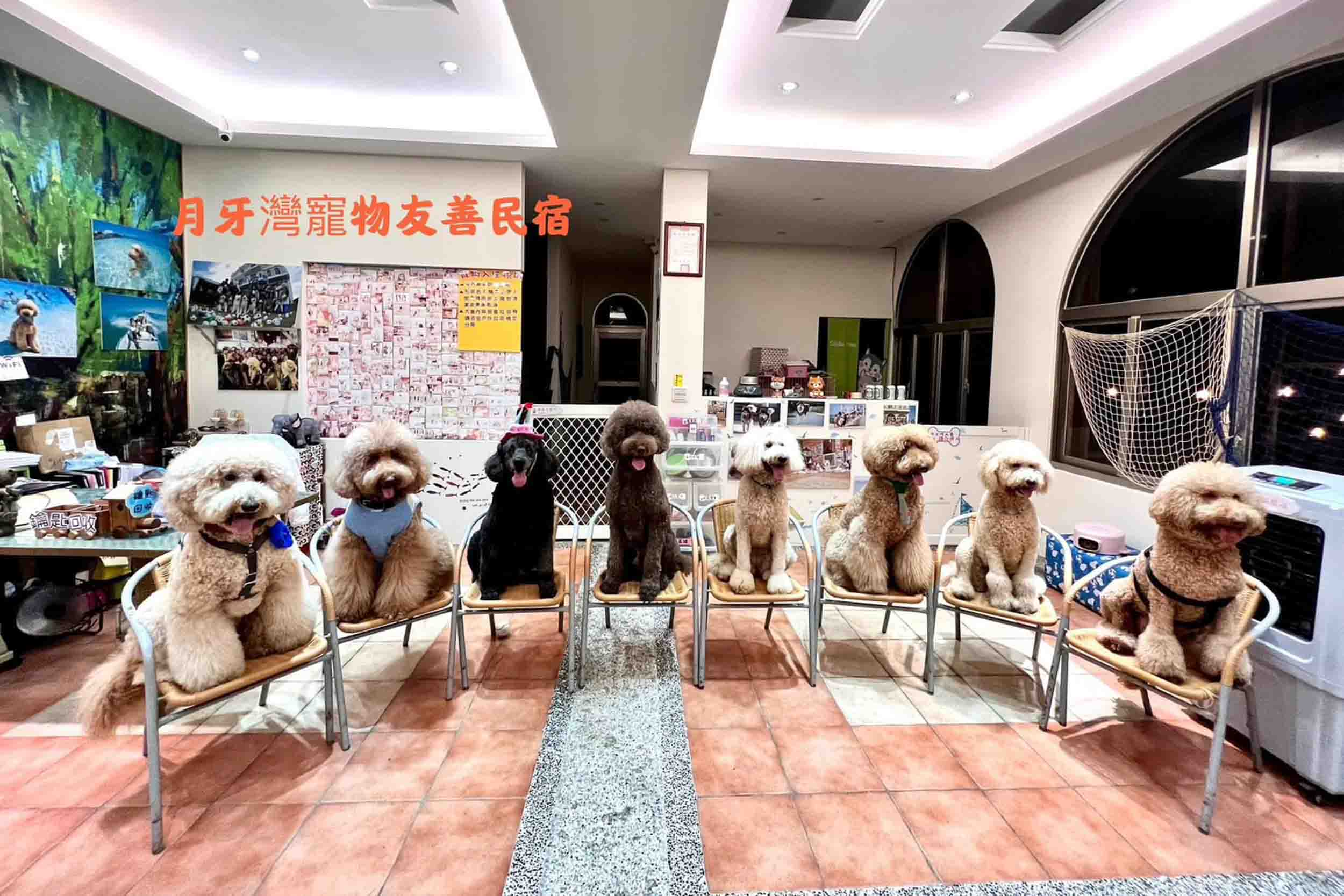 月牙灣民宿的民宿照片