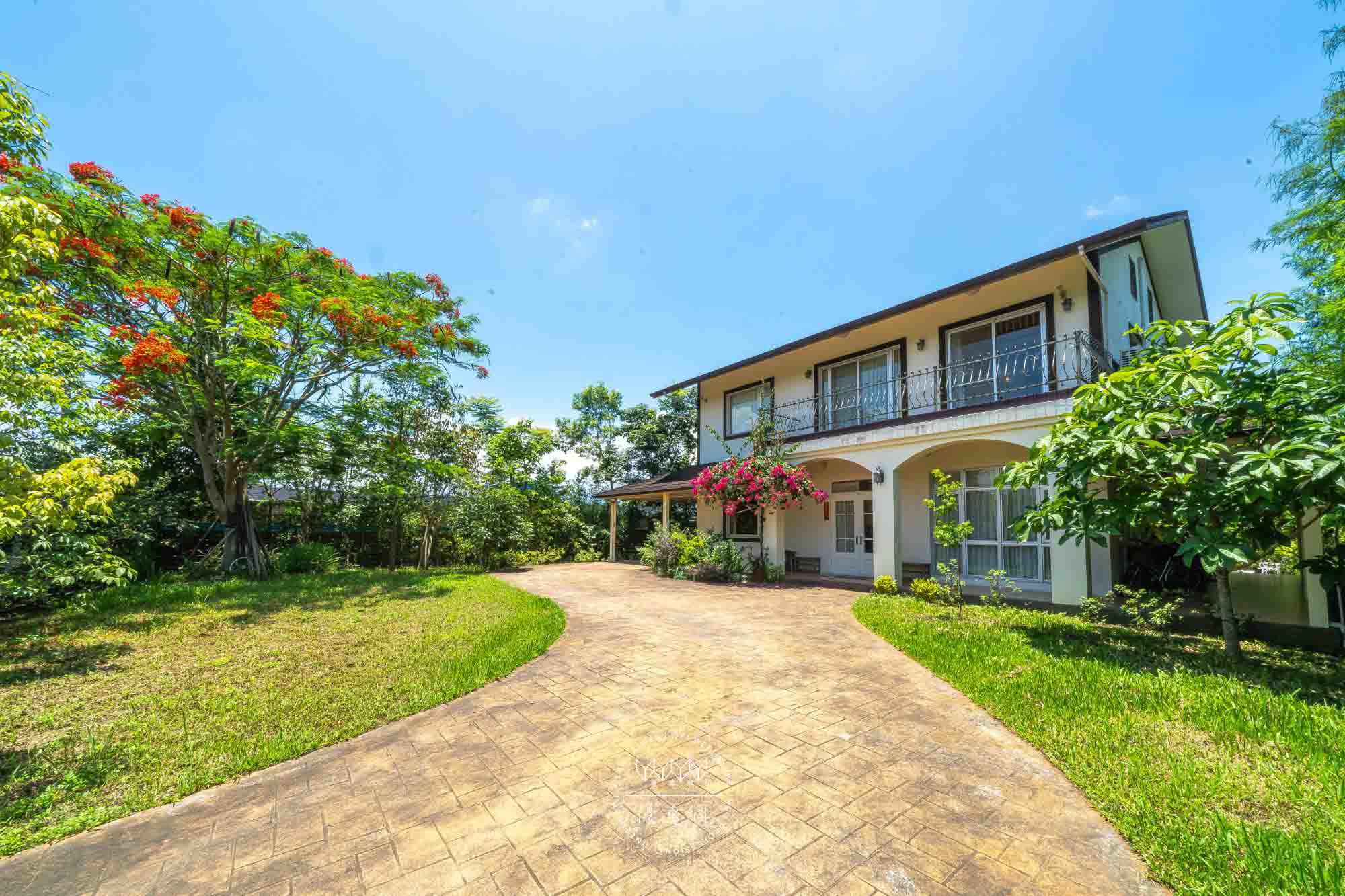 普普風民宿的民宿照片